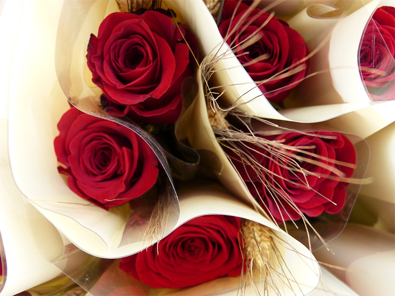 Les peticions de parada de llibres o roses per Sant Jordi shauran de fer telemticament