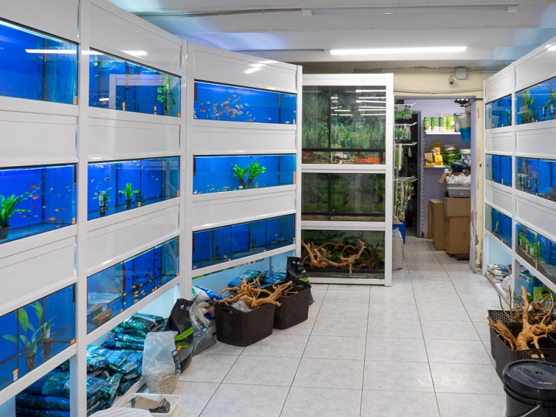 Botiga d'animals i aquaris Sirioaquaris (2)
