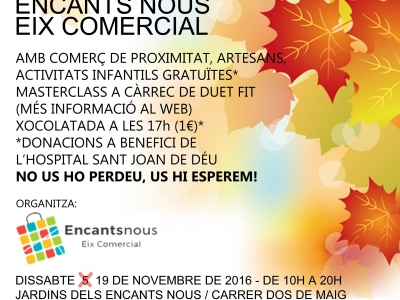 19-11-2016 XIII Fira Encantsnous Eix Comercial